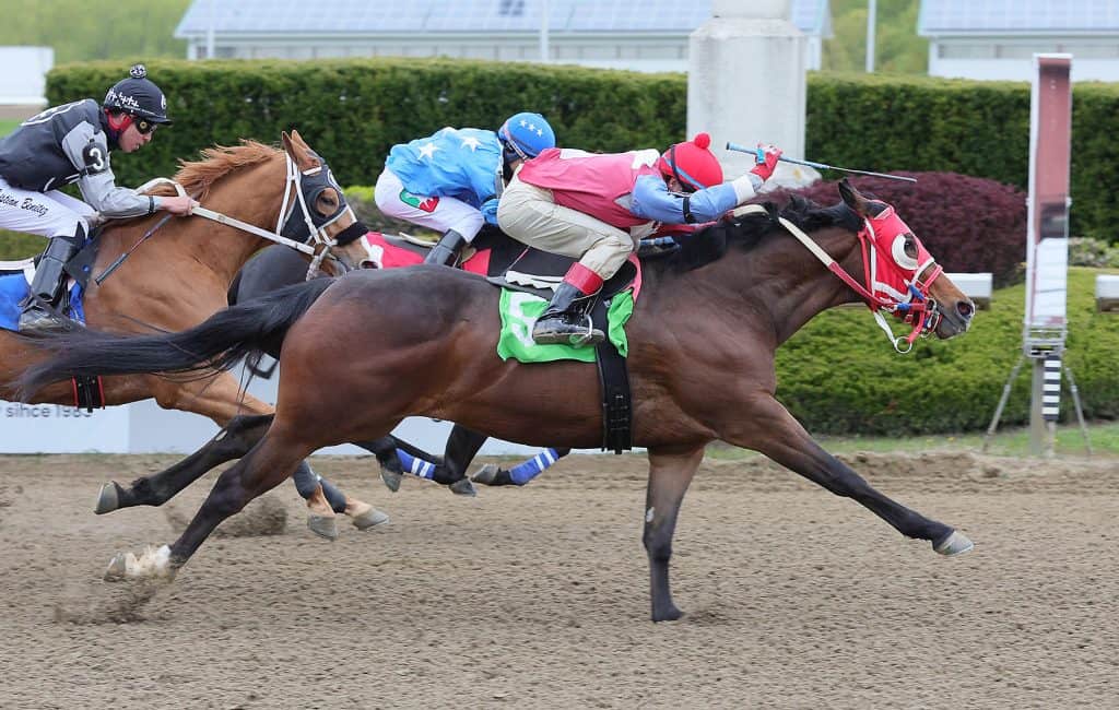 Had to Be Ivory racing at Ajax Downs