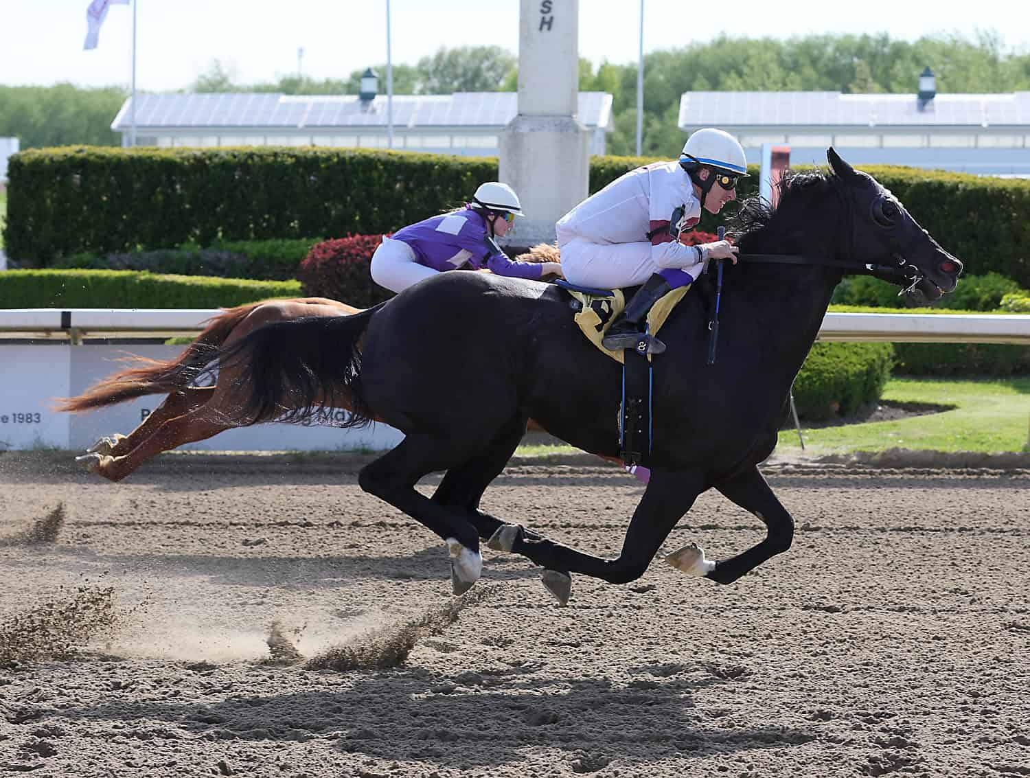 1689135575.jpeg