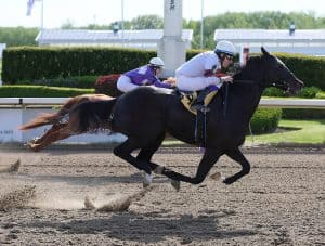 Peighntmeadiamond Sparkles at Ajax Downs at Ajax Downs