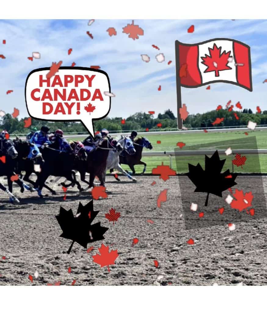 Canada Day at Ajax Downs! Ontario Derby and Retirement Party for Had to Be Ivory at Ajax Downs