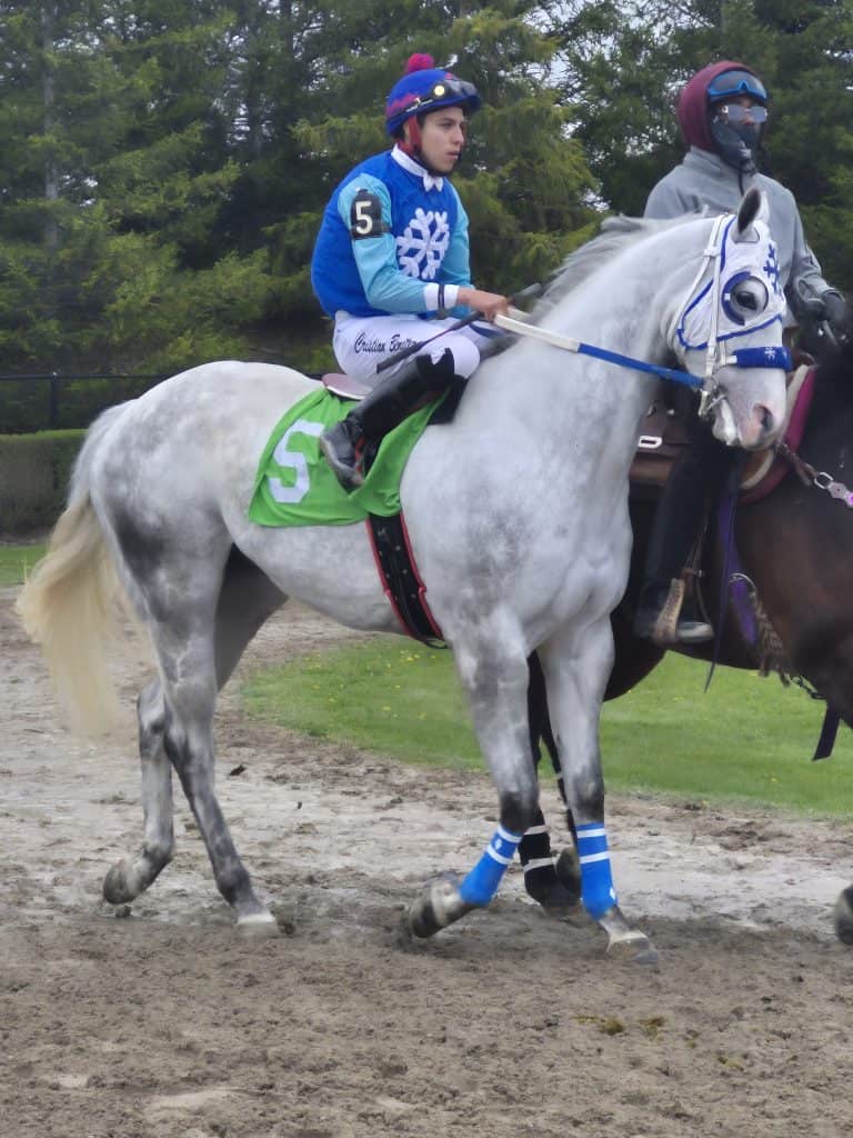 Celebrate Father's Day at Ajax Downs ! Top Horses Compete in Stakes Races at Ajax Downs