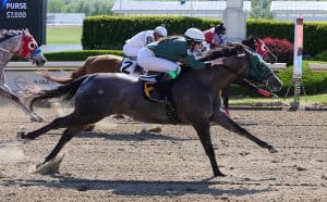 Longshots and Upsets at Ajax Downs at Ajax Downs