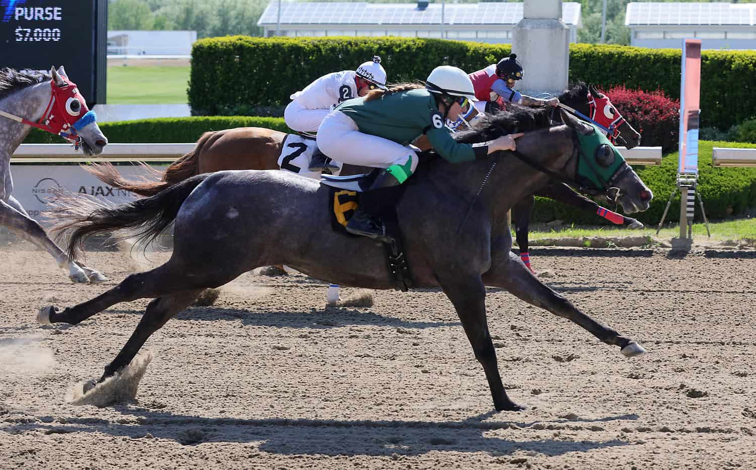 Longshots and Upsets at Ajax Downs at Ajax Downs