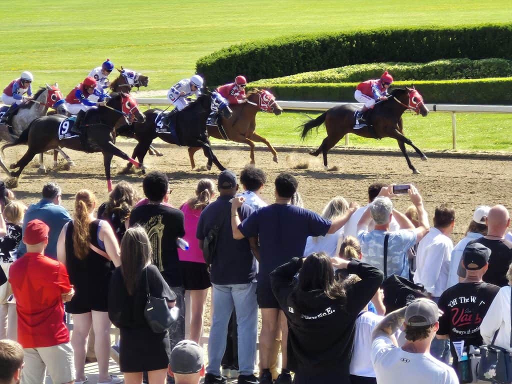 My Royal Swinger Leads a 1-2 finish in Unclassified Stakes for Joe Tavares at Ajax Downs