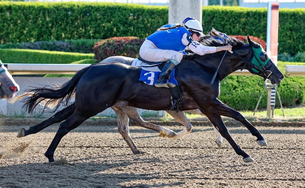 NATURAL HAT TRICK for Trainer SCOTT REID AT AJAX DOWNS at Ajax Downs