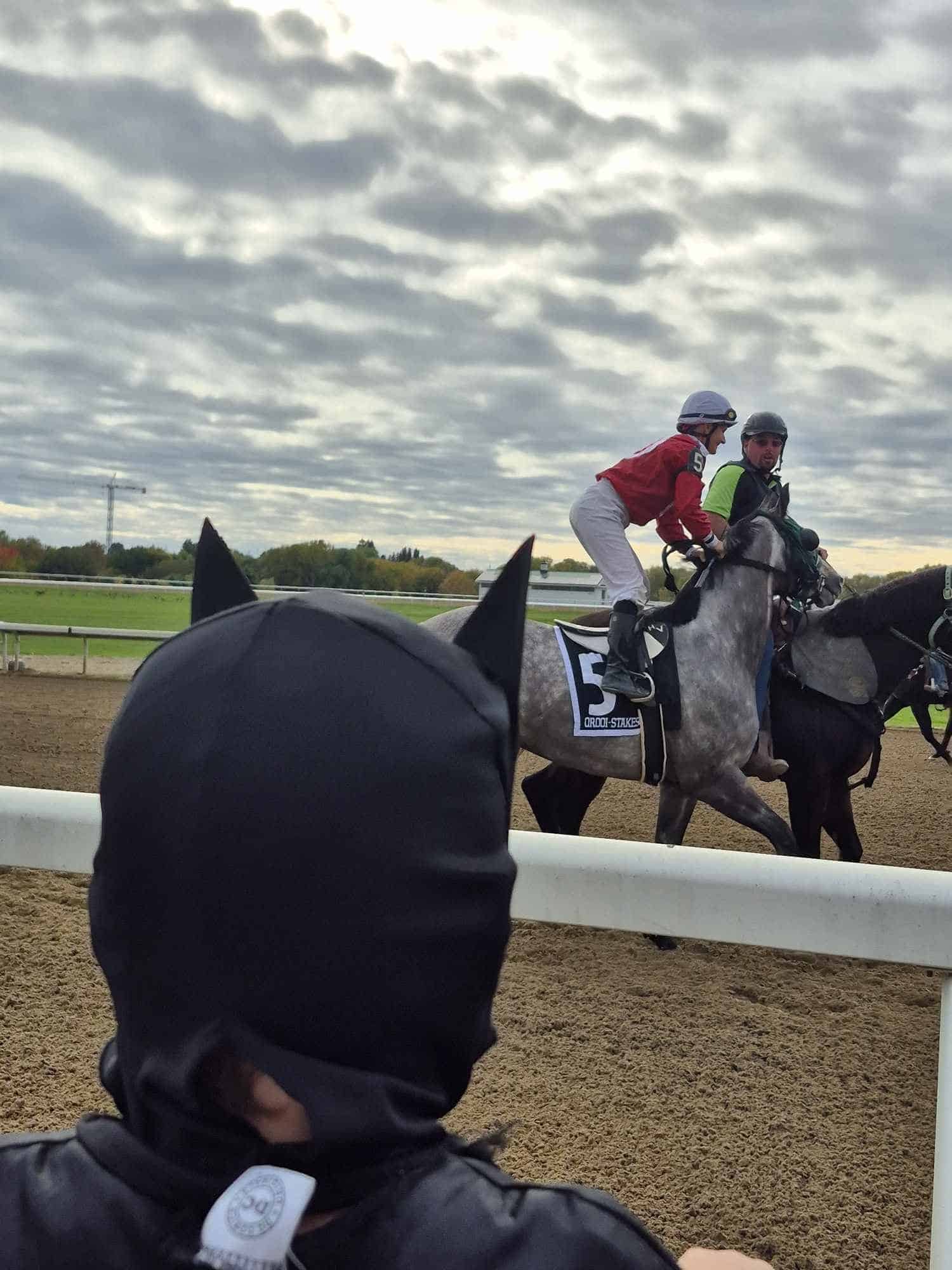 Ajax Downs: Older Stars in Ontario Bred Maturity Plus First 2-Year-Old Race of Season at Ajax Downs