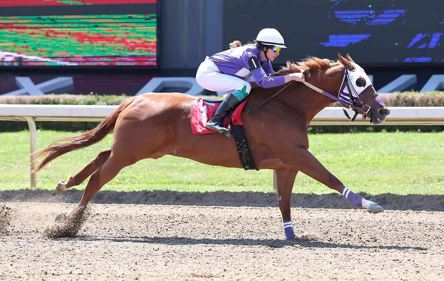 Musical Rides and Derby Trials at Ajax Downs