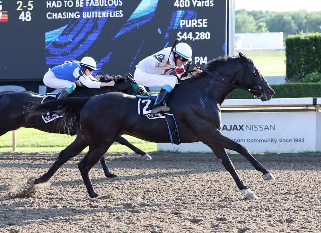 PEIGHNTMEADIAMOND UPSETS ONTARIO BRED MATURITY at Ajax Downs