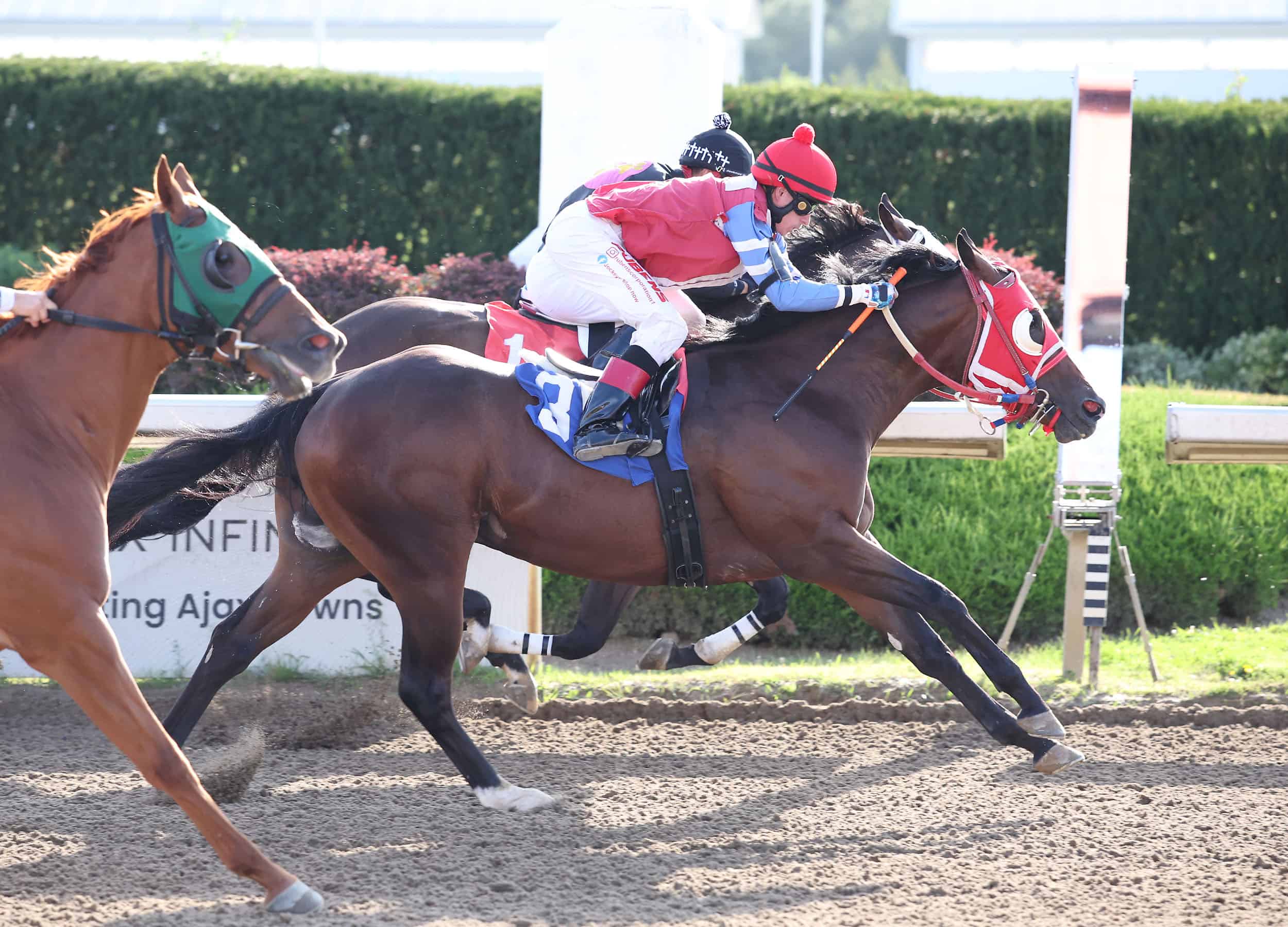 Copilot, My Royal Wagon Trial Wins Set Stage For Picov Derby Final at Ajax Downs