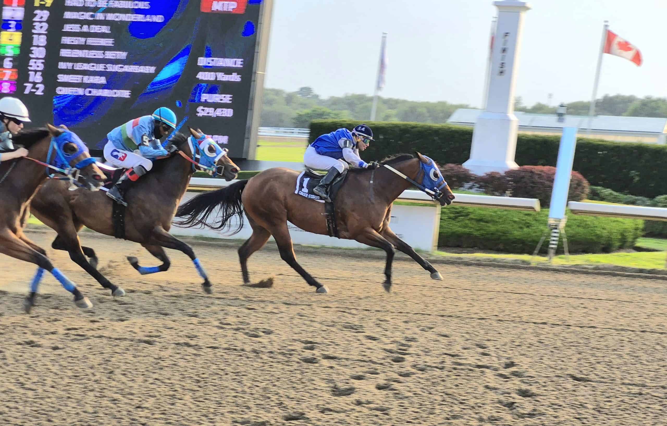 Had to Be Fabulous Back on Winning Track at Ajax Downs