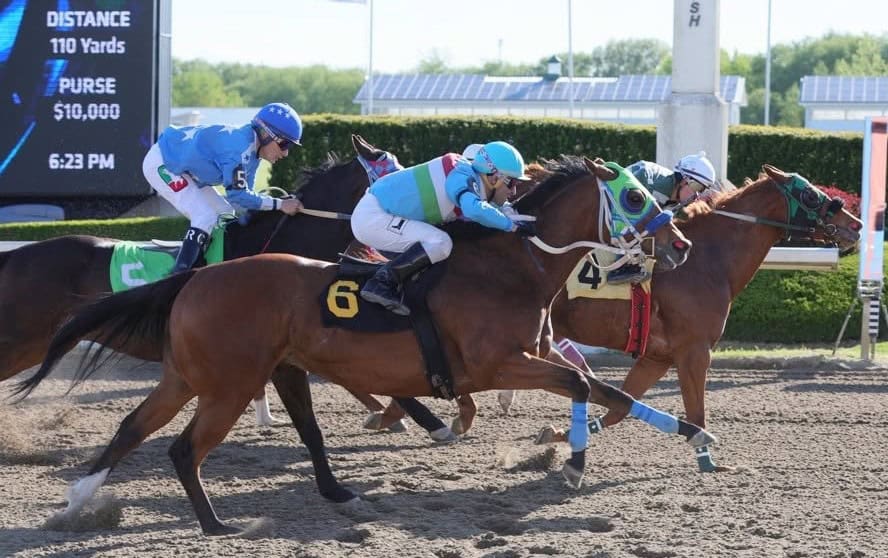 Half-sisters Queen Charlotte and Relentless Betty Seek Princess Maturity Win at Ajax Downs